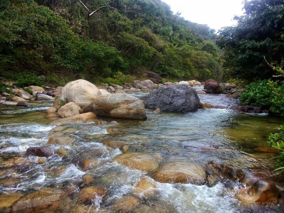 Casa Rio Cuale And River Retreat Πουέρτο Βαγιάρτα Εξωτερικό φωτογραφία