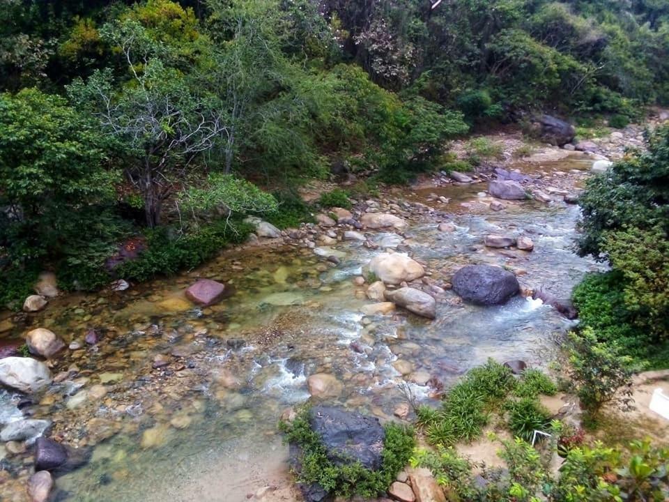 Casa Rio Cuale And River Retreat Πουέρτο Βαγιάρτα Εξωτερικό φωτογραφία