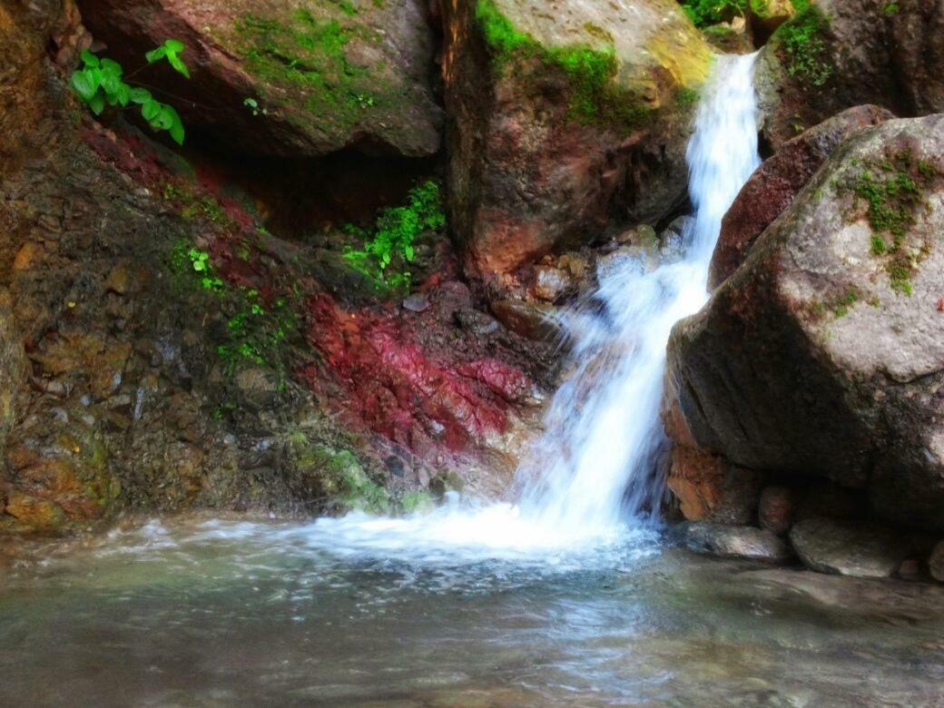 Casa Rio Cuale And River Retreat Πουέρτο Βαγιάρτα Εξωτερικό φωτογραφία